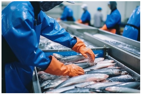 Planta de procesamiento YSBI