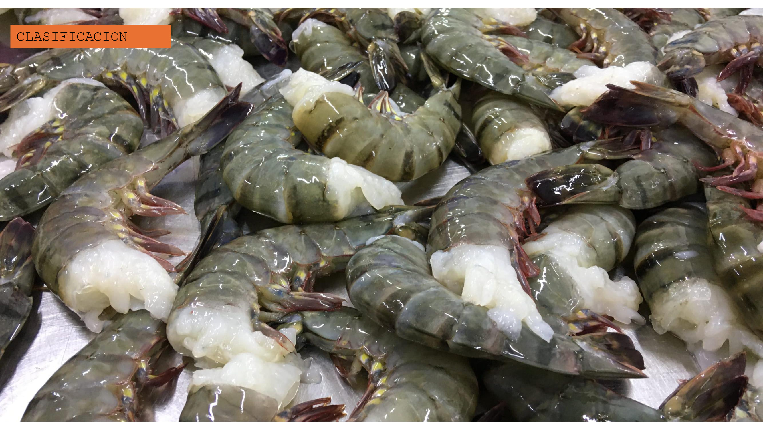 Selección y clasificación