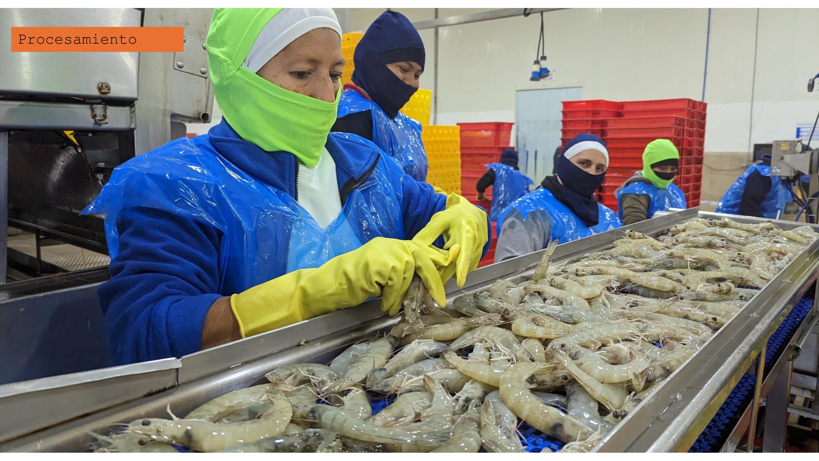 Recepción de materia prima